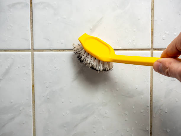 Best Best Mold Removal Companies  in Denison, IA